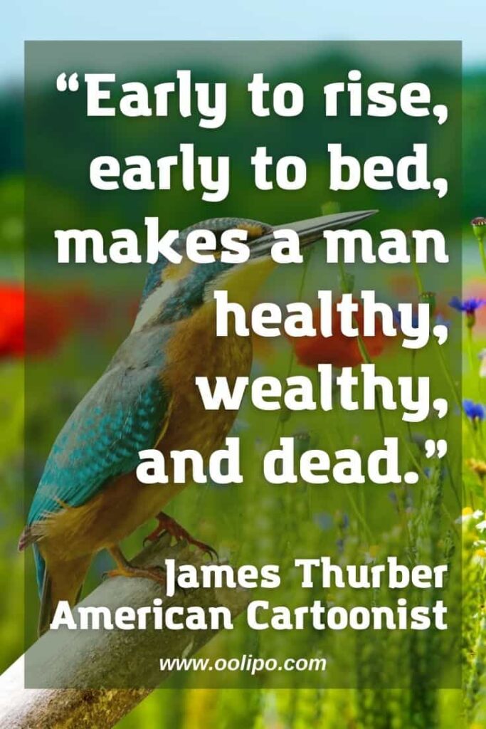 James Thurber quote