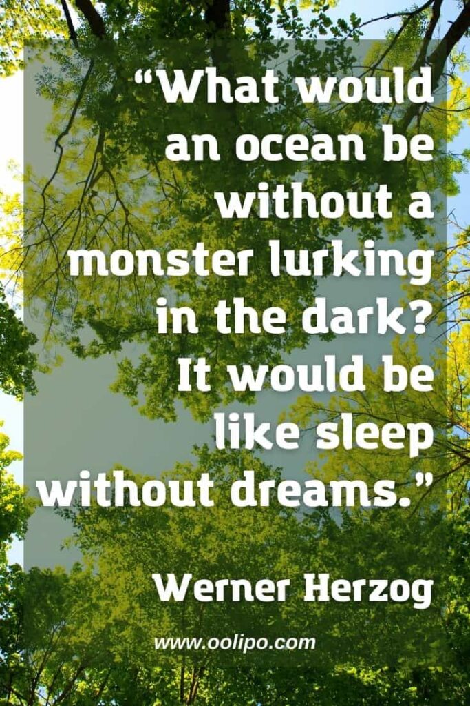 Werner Herzog quote