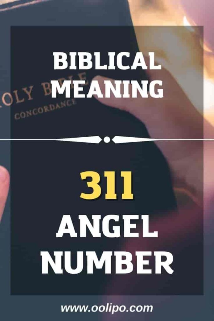 311 Meaning in The Bible