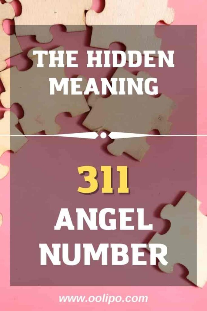 The Hidden Meaning of 311