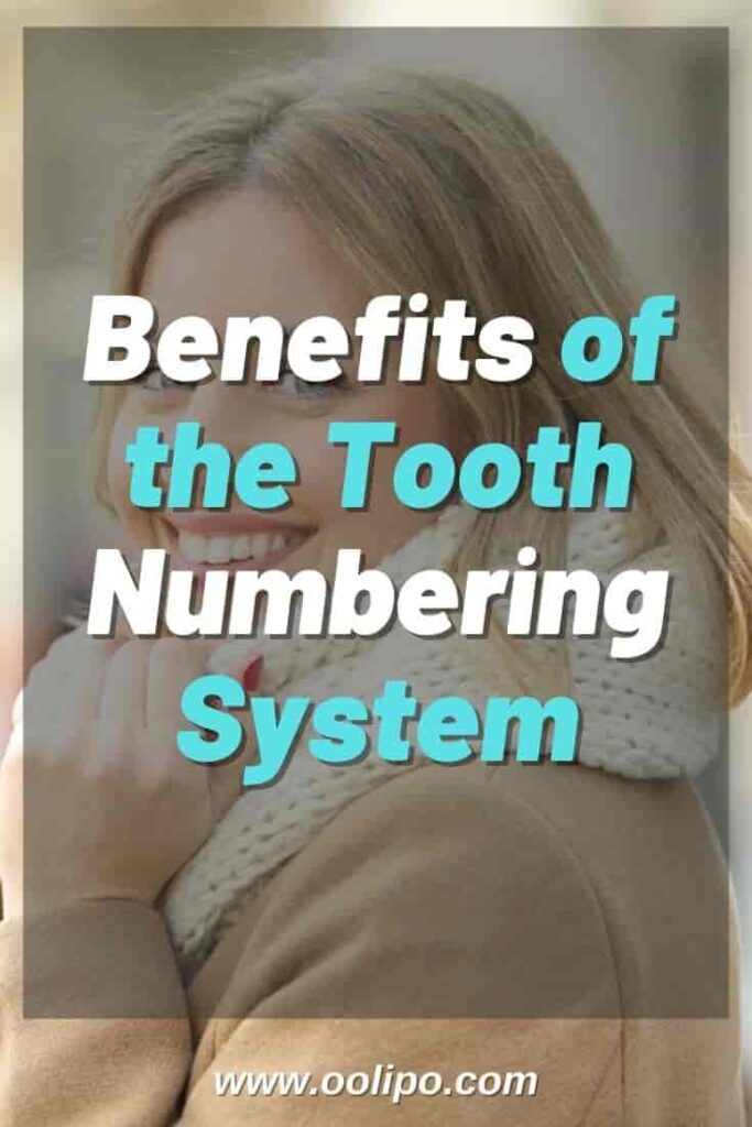 Benefits of the Tooth Numbering System