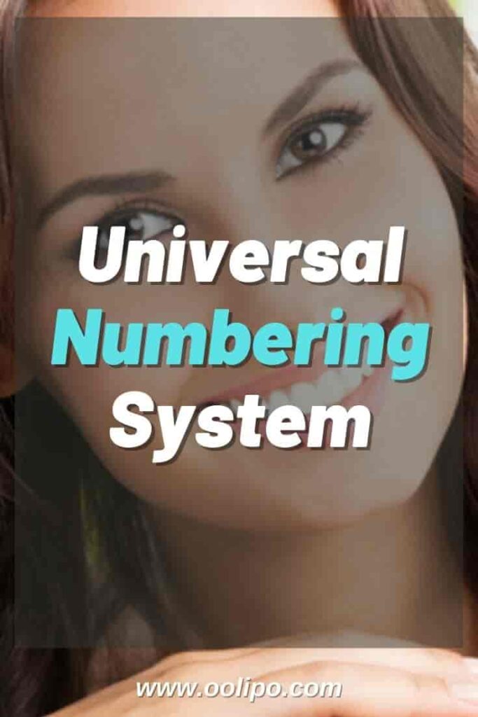 Universal Numbering System